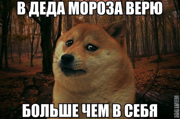 Учитывая то,что в Деда Мороза я не верю...