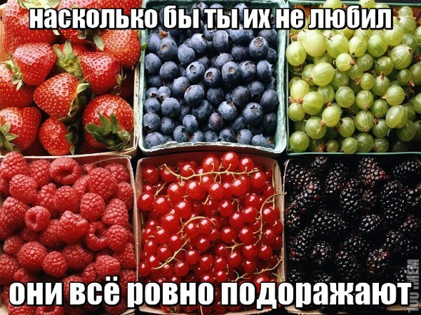 ягодки
