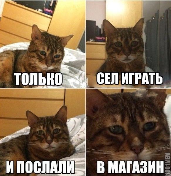 И так всегда:(