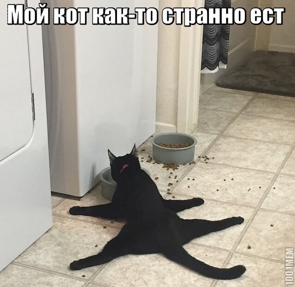 Котэ