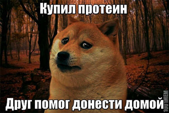 ЗОЖ