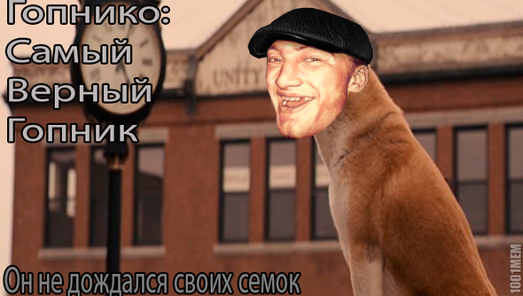 Гопнико