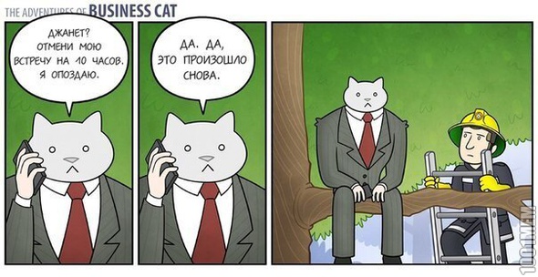Приключения бизнес кота