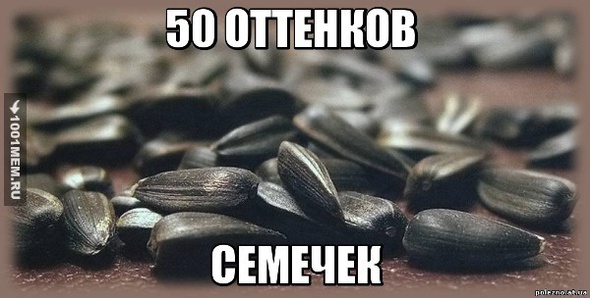 50 Оттенков