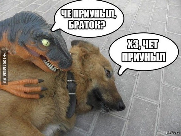 Чё приуныл?