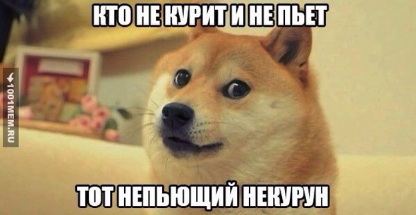 непьющий некурун