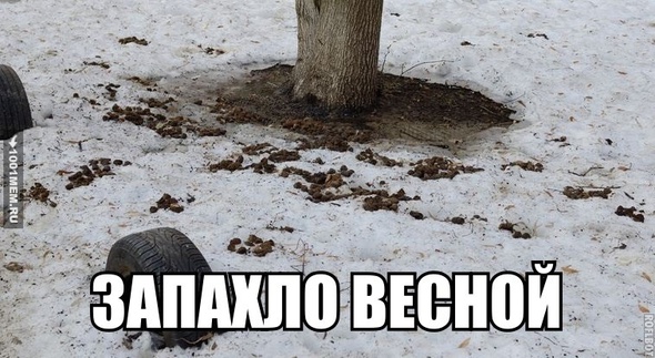 весна ....