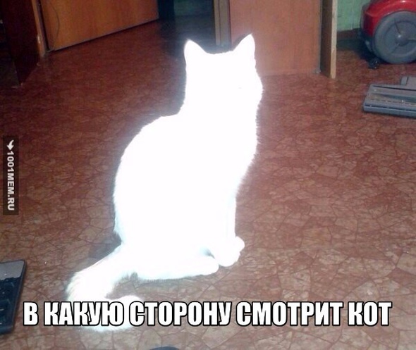 Котэ