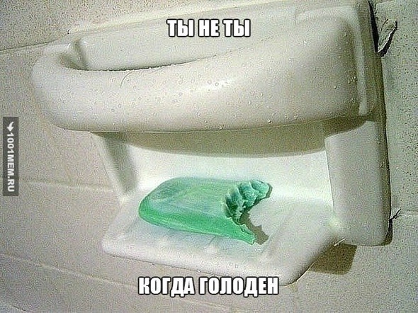 Ты не ты когда голоден