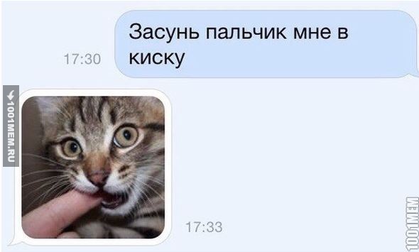 Киска