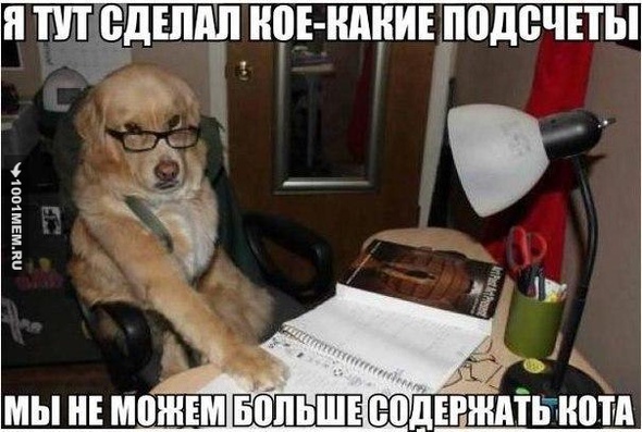 Ну, и кто здесь хозяин?