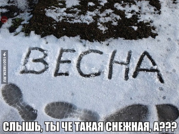 Весна она такая..))