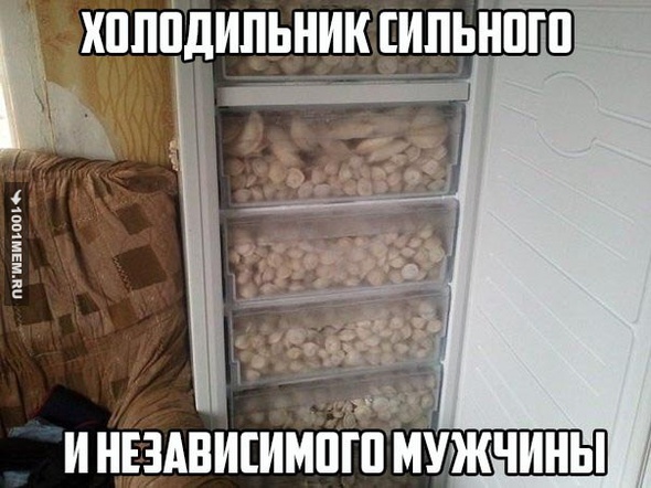 Мужской Холодильник