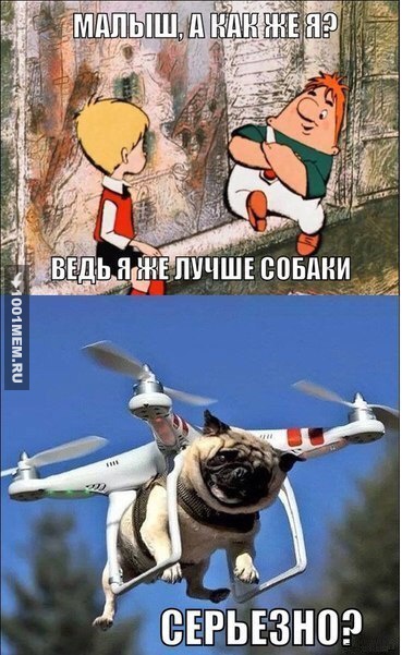 Собака