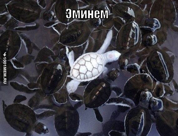 Эминем