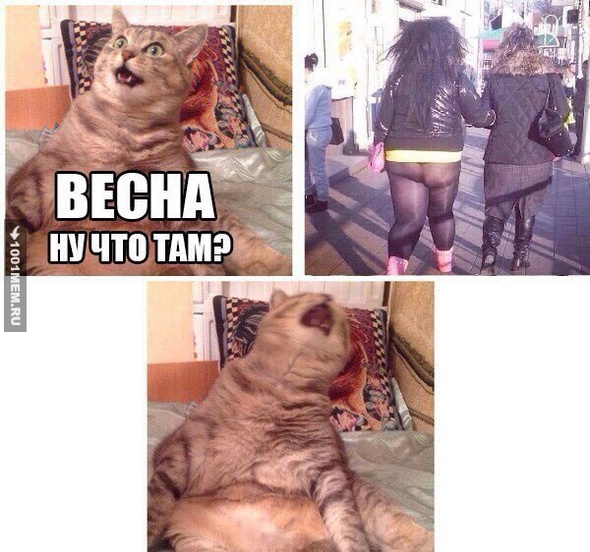 весна