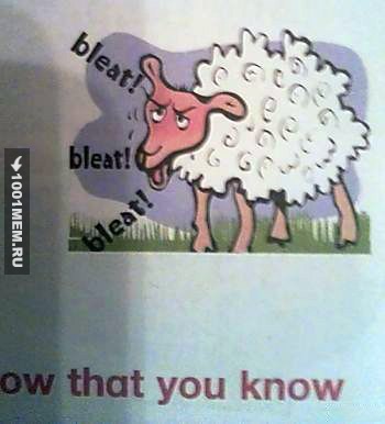 Это овечка из детского учебника по английскому. И, кажется, она чем-то расстроена