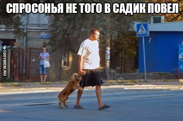 Упс