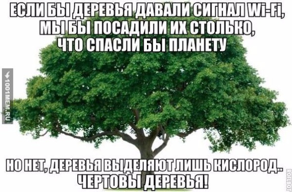 Деревья бесполезны...