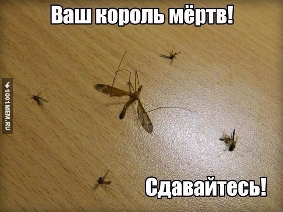 Комары