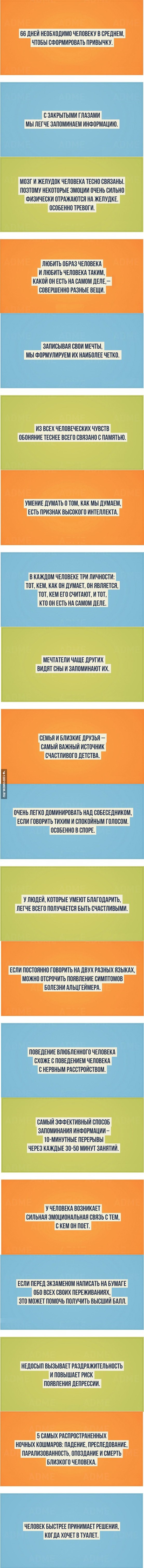 20 ценных фактов о человеке и его природе