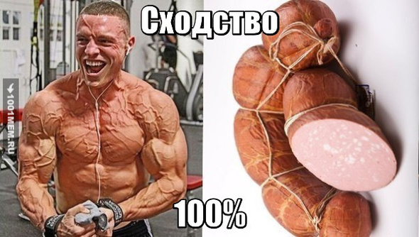 Сходство 100%