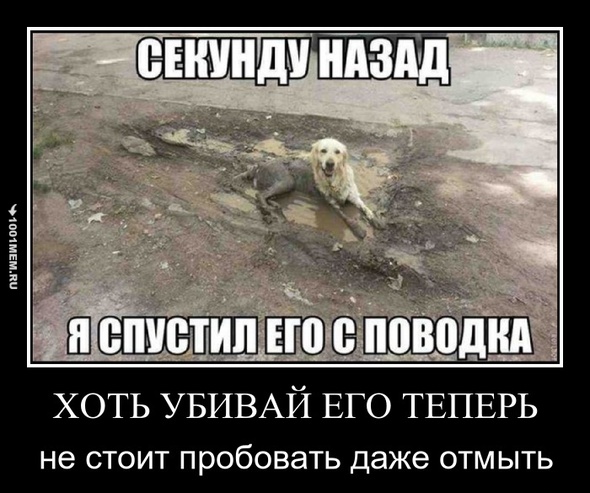 а еще друг назывался