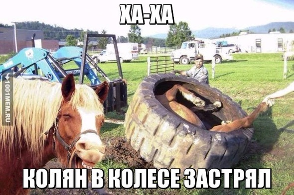 Колян застрял в колесе)