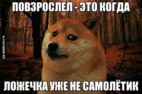 Взрослый)