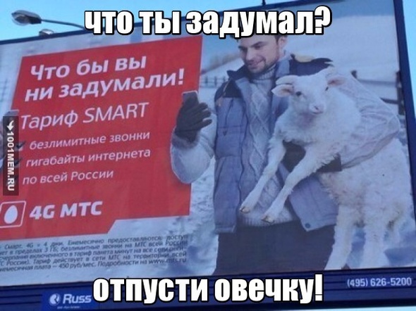 что бы вы ни задумали...