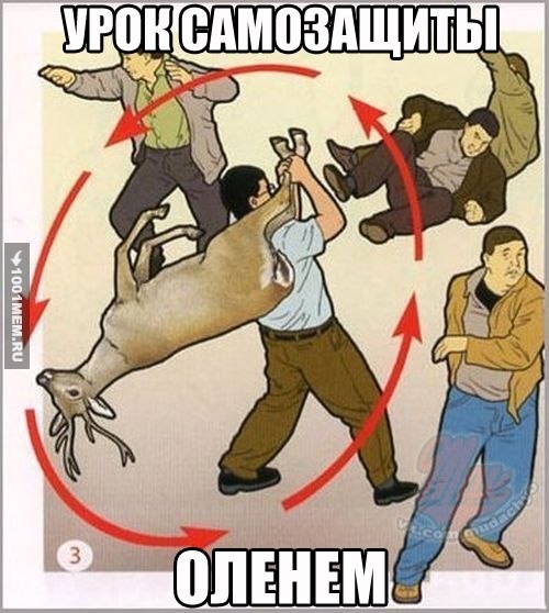 Урок самозащиты оленем.