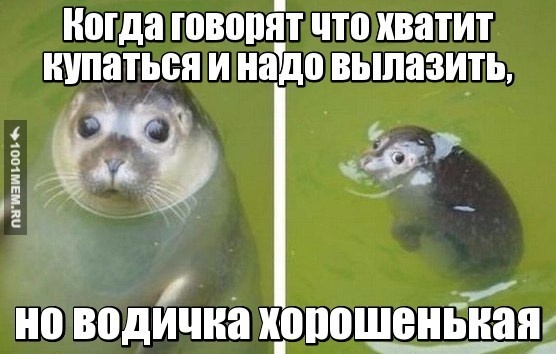 Водичка