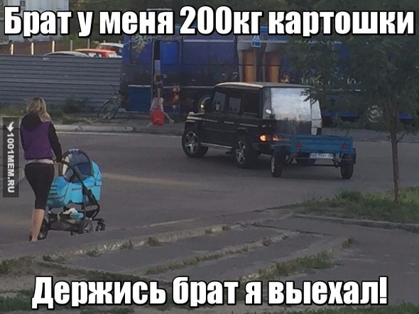 жиза