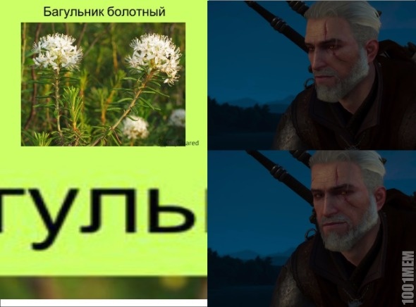 ведьмак