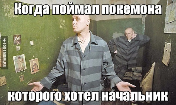 Покемоны на зоне..