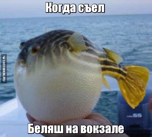 Беляш