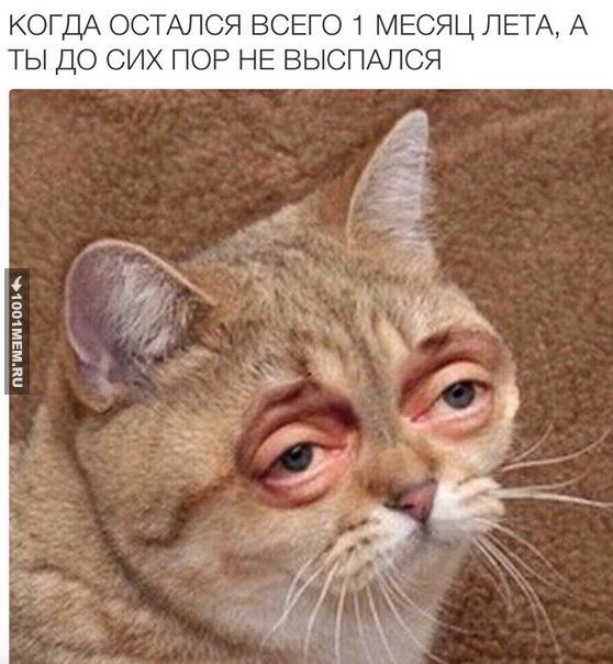 Не выспался