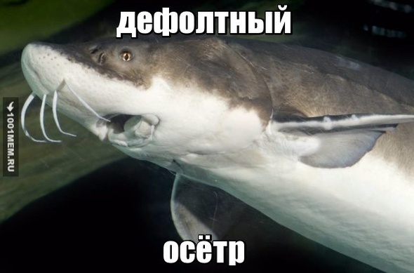 Дефолтный осётр