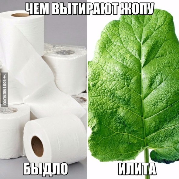 Быдло vs Илита