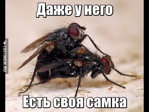 Когда нет девушки