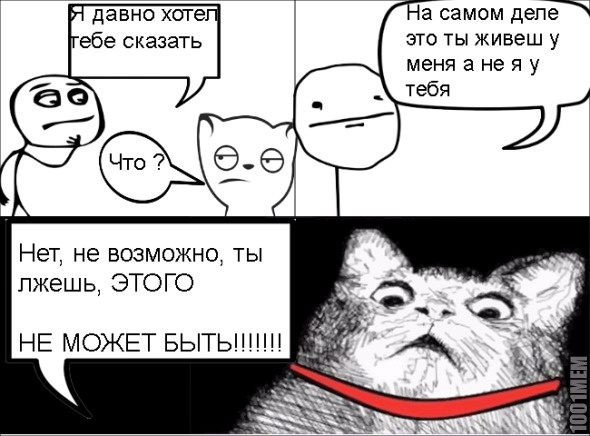 Типичный котик