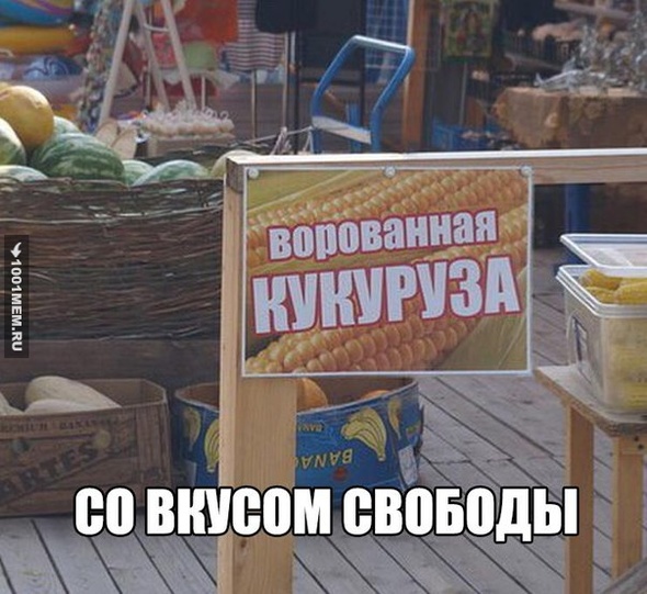 #СвободаКукурузе