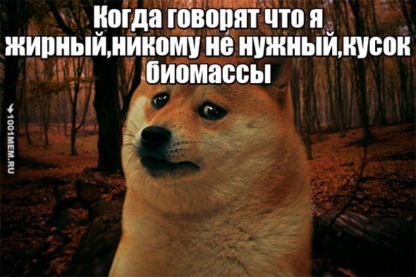 ПИЧАЛЬ