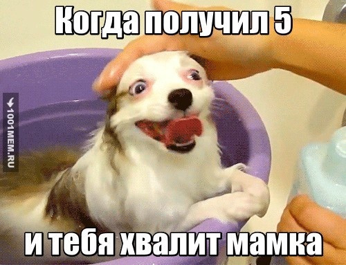 вв