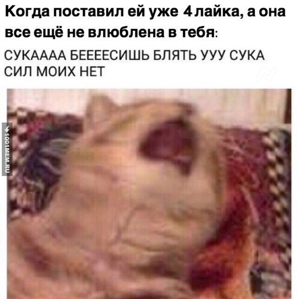 ор