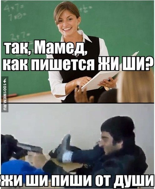 Жиши