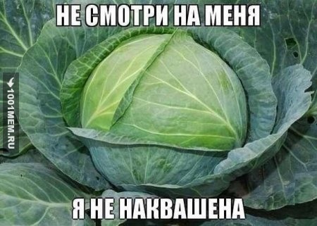 Капуста