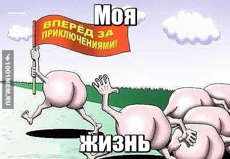 Моя жизнь