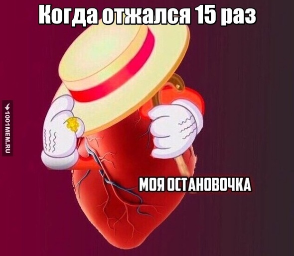 Моя остановочка