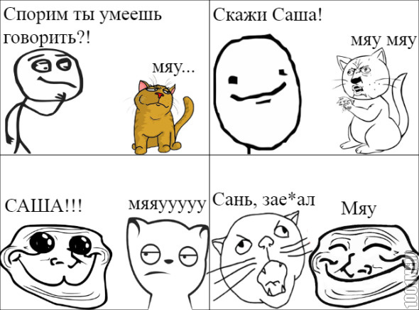 Злободень котэ